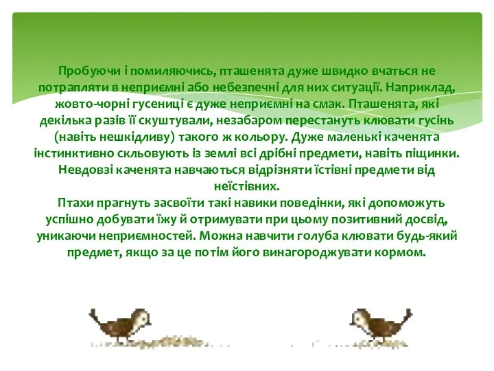 Пробуючи і помиляючись, пташенята дуже швидко вчаться не потрапляти в