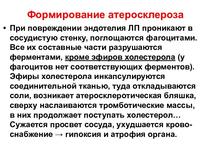 Формирование атеросклероза При повреждении эндотелия ЛП проникают в сосудистую стенку,