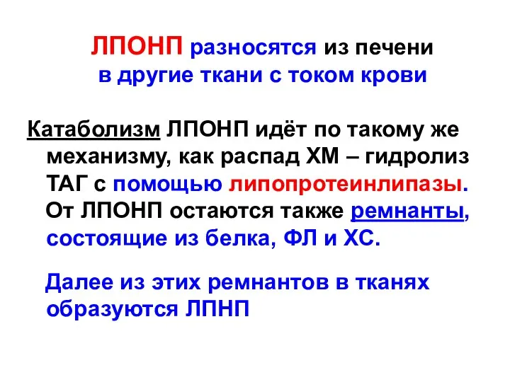 ЛПОНП разносятся из печени в другие ткани с током крови