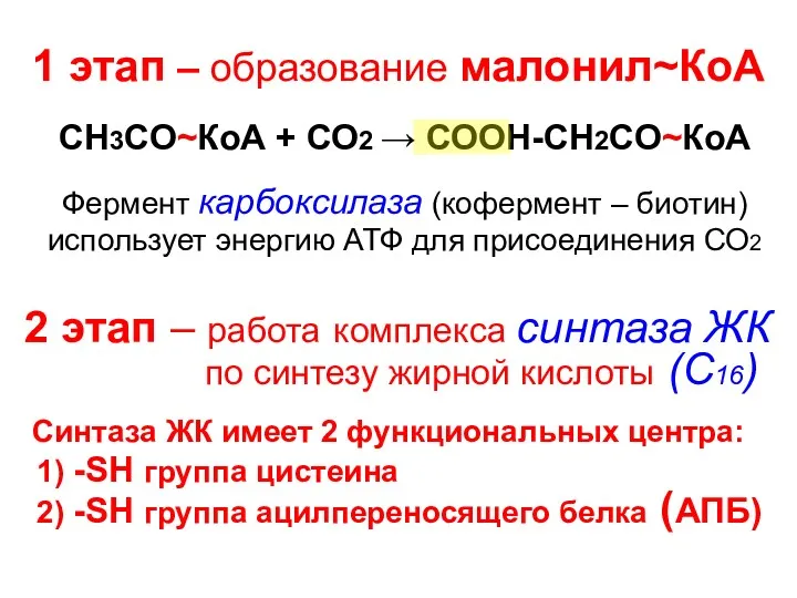 1 этап – образование малонил~КоА СН3СО~КоА + СО2 → СООН-СН2СО~КоА