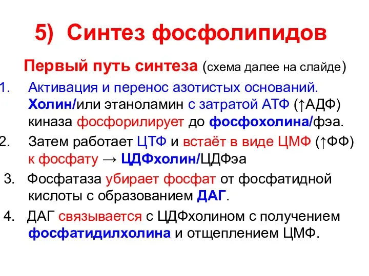 5) Синтез фосфолипидов Первый путь синтеза (схема далее на слайде)