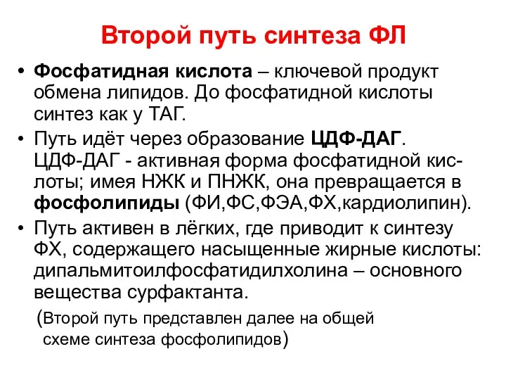 Второй путь синтеза ФЛ Фосфатидная кислота – ключевой продукт обмена