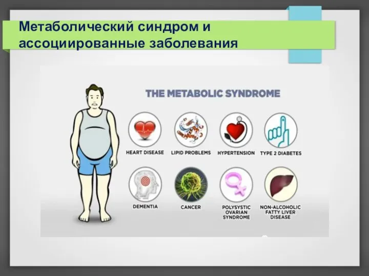 Метаболический синдром и ассоциированные заболевания