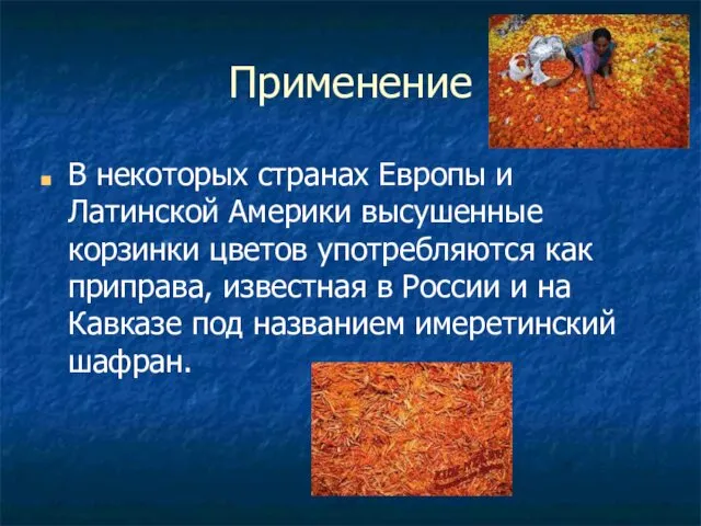 Применение В некоторых странах Европы и Латинской Америки высушенные корзинки