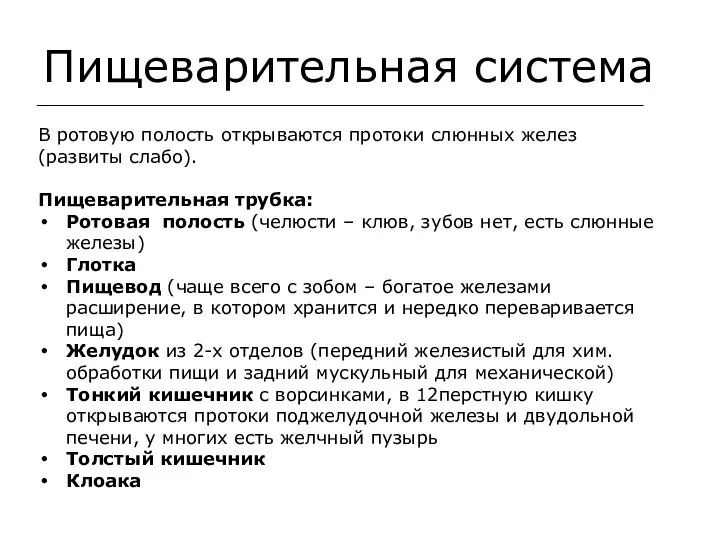 Пищеварительная система В ротовую полость открываются протоки слюнных желез (развиты