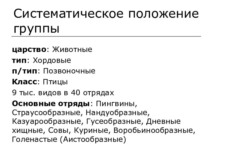 Систематическое положение группы царство: Животные тип: Хордовые п/тип: Позвоночные Класс: