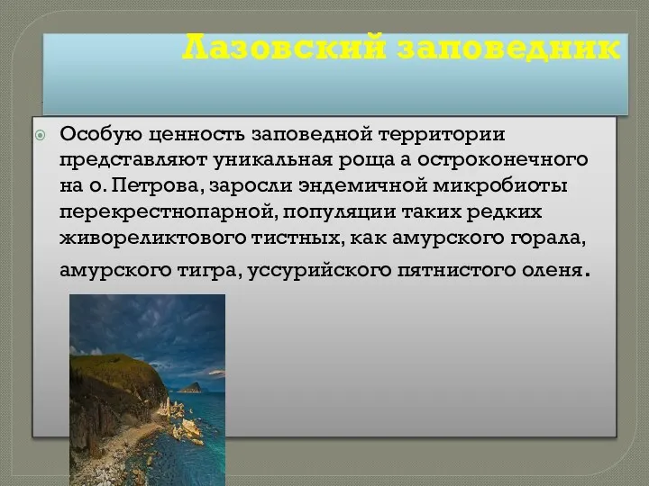 Лазовский заповедник Особую ценность заповедной территории представляют уникальная роща а остроконечного на о.