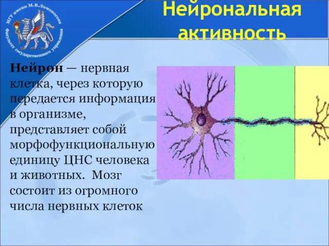 Нейрональная активность Нейрон — нервная клетка, через которую передается информация в организме, представляет