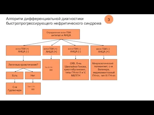 Алгоритм дифференциальной диагностики быстропрогрессирующего нефритического синдрома 3 Определение анти-ГБМ- антител и АНЦА анти-ГБМ