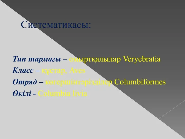 Систематикасы: Тип тармағы – омыртқалылар Veryebratia Класс – құстар, Aves