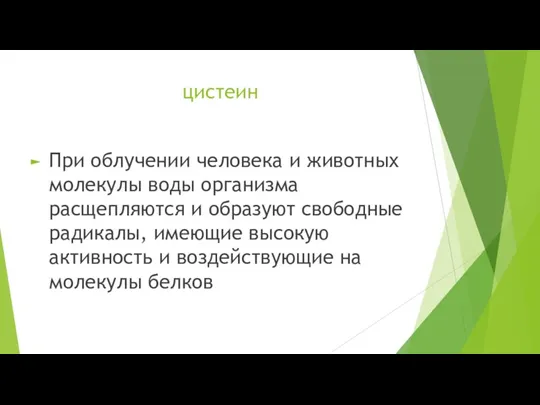 цистеин При облучении человека и животных молекулы воды организма расщепляются