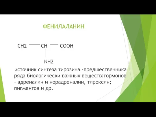 ФЕНИЛАЛАНИН CH2 CH COOH NH2 источник синтеза тирозина -предшественника ряда