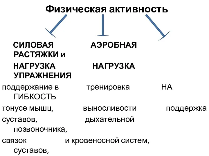 Физическая активность СИЛОВАЯ АЭРОБНАЯ РАСТЯЖКИ и НАГРУЗКА НАГРУЗКА УПРАЖНЕНИЯ поддержание