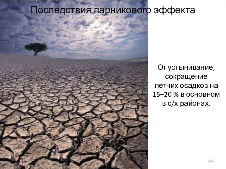 Опустынивание, сокращение летних осадков на 15–20 % в основном в с/х районах. Последствия парникового эффекта