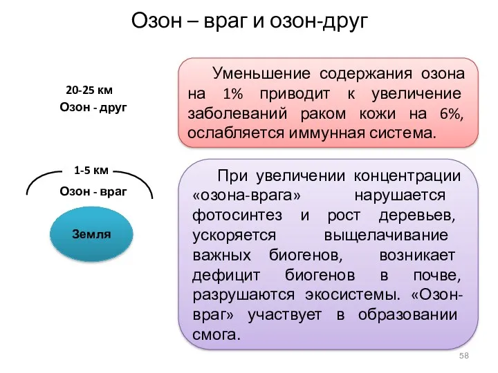 При увеличении концентрации «озона-врага» нарушается фотосинтез и рост деревьев, ускоряется