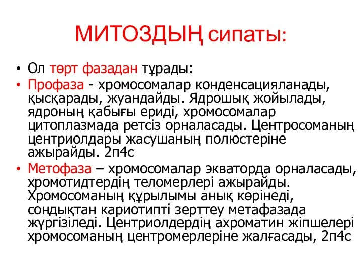 МИТОЗДЫҢ сипаты: Ол төрт фазадан тұрады: Профаза - хромосомалар конденсацияланады,