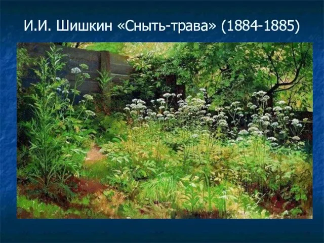 И.И. Шишкин «Сныть-трава» (1884-1885)