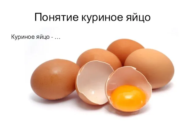 Понятие куриное яйцо Куриное яйцо - …