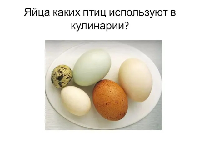 Яйца каких птиц используют в кулинарии?