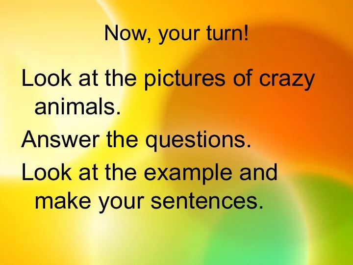 Now, your turn! Look at the pictures of crazy animals.