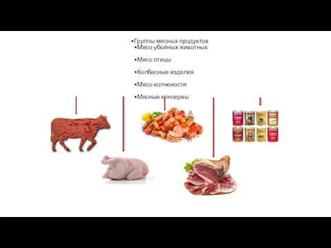 Группы мясных продуктов Мясо убойных животных Мясо птицы Колбасные изделия Мясо-копчености Мясные консервы