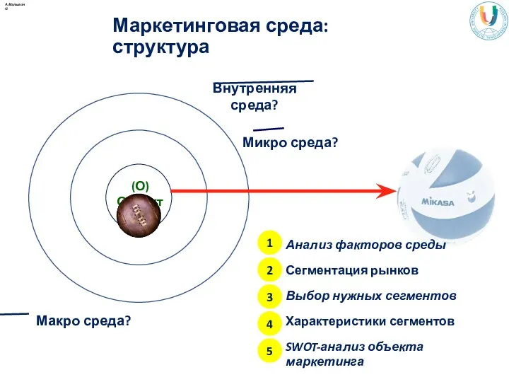 Маркетинговая среда: структура Внутренняя среда? Микро среда? Макро среда? А.Малыгин