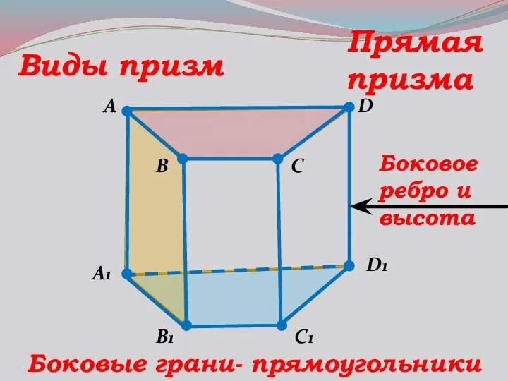 A B C1 D A1 B1 D1 C Виды призм