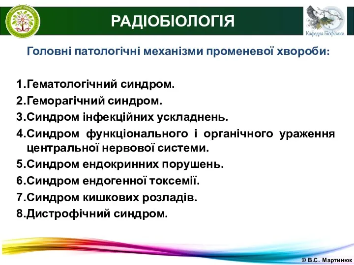 © В.С. Мартинюк РАДІОБІОЛОГІЯ Головні патологічні механізми променевої хвороби: Гематологічний