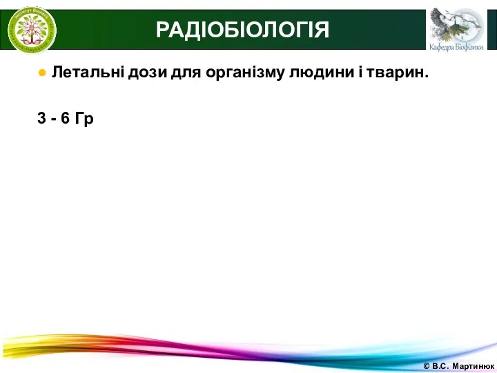 © В.С. Мартинюк РАДІОБІОЛОГІЯ ● Летальні дози для організму людини і тварин. 3 - 6 Гр