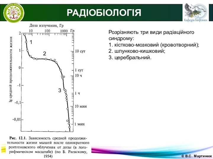 © В.С. Мартинюк РАДІОБІОЛОГІЯ Розрізняють три види радіаційного синдрому: 1.