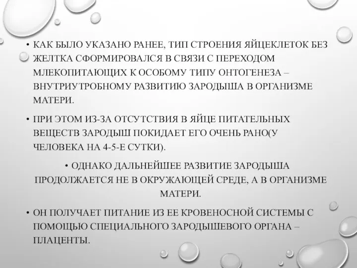 КАК БЫЛО УКАЗАНО РАНЕЕ, ТИП СТРОЕНИЯ ЯЙЦЕКЛЕТОК БЕЗ ЖЕЛТКА СФОРМИРОВАЛСЯ