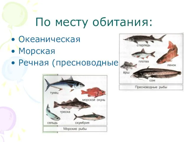 По месту обитания: Океаническая Морская Речная (пресноводные)