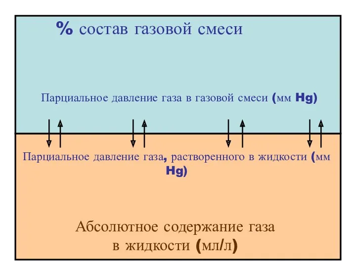 % состав газовой смеси Абсолютное содержание газа в жидкости (мл/л) Парциальное давление газа