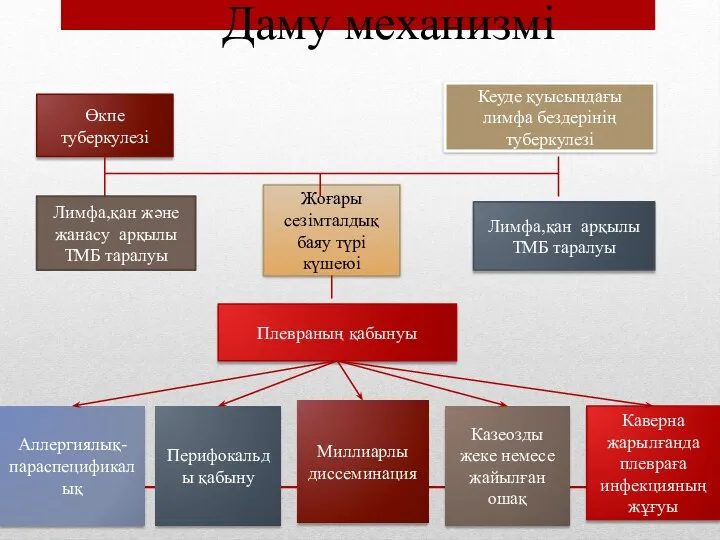 Даму механизмі Өкпе туберкулезі Кеуде қуысындағы лимфа бездерінің туберкулезі Лимфа,қан