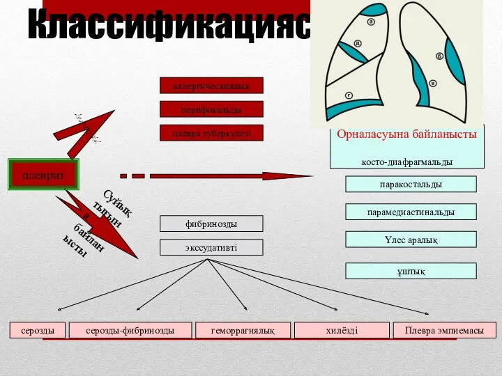 Классификациясы Патогенезіне байланысты: Суйықтығына байланысты аллергическиялық перифокальды плевра туберкулезі фибринозды