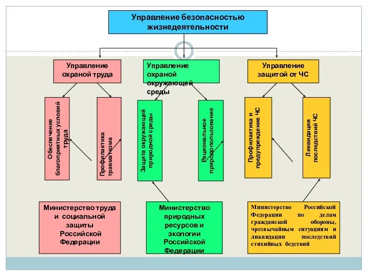 Управление безопасностью жизнедеятельности Управление охраной труда Управление охраной окружающей среды