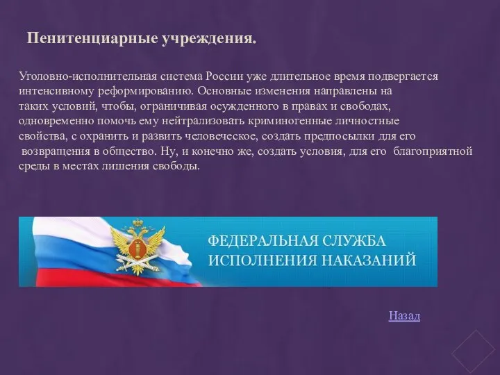 Пенитенциарные учреждения. Уголовно-исполнительная система России уже длительное время подвергается интенсивному