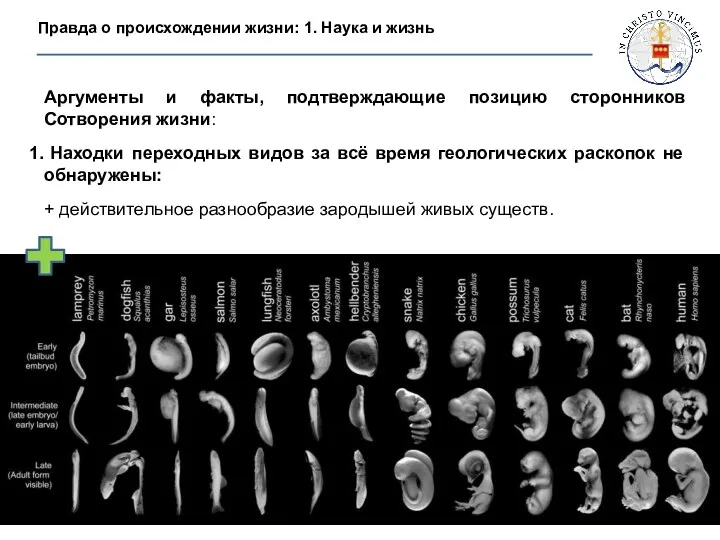 Правда о происхождении жизни: 1. Наука и жизнь Аргументы и