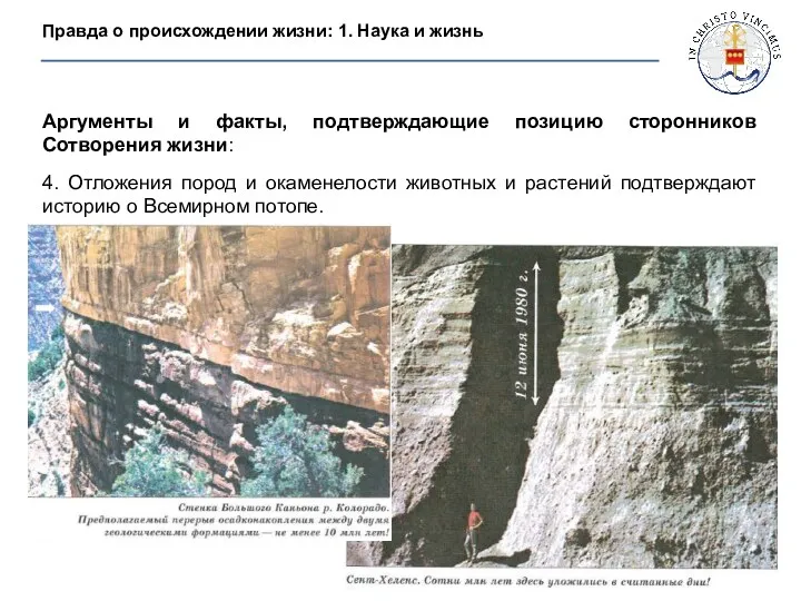 Аргументы и факты, подтверждающие позицию сторонников Сотворения жизни: 4. Отложения