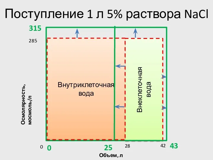 Поступление 1 л 5% раствора NaCl Внеклеточная вода Объем, л