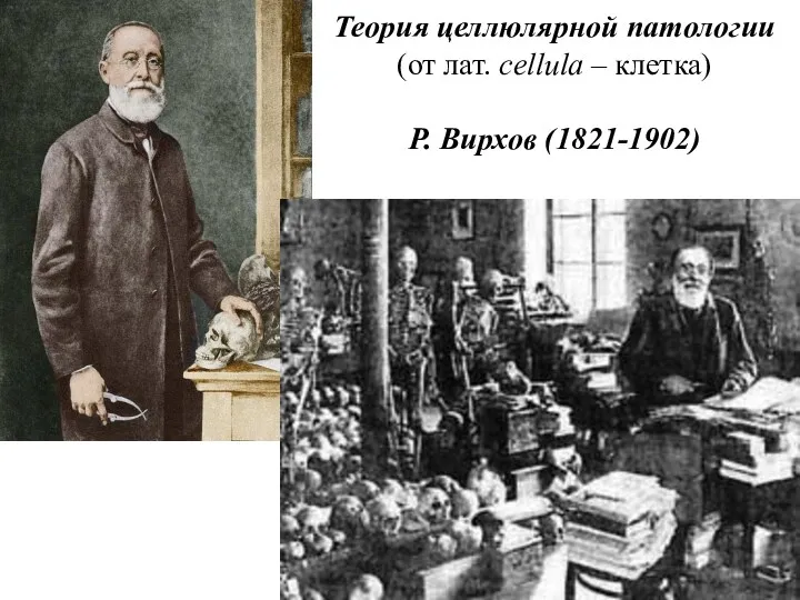 Теория целлюлярной патологии (от лат. cellula – клетка) Р. Вирхов (1821-1902) )