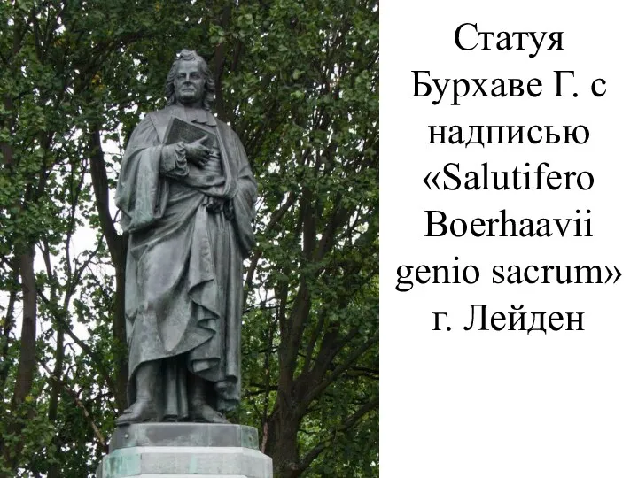 Статуя Бурхаве Г. с надписью «Salutifero Boerhaavii genio sacrum» г. Лейден