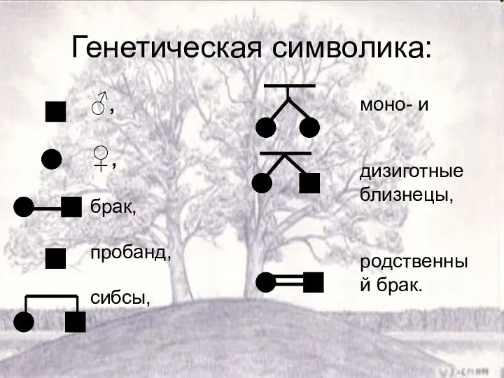 Генетическая символика: ♂, ♀, брак, пробанд, сибсы, моно- и дизиготные близнецы, родственный брак.