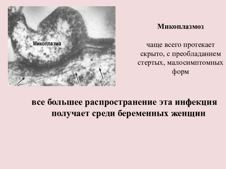 Микоплазмоз чаще всего протекает скрыто, с преобладанием стертых, малосимптомных форм все большее распространение