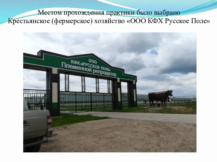 Местом прохождения практики было выбрано Крестьянское (фермерское) хозяйство «ООО КФХ Русское Поле»