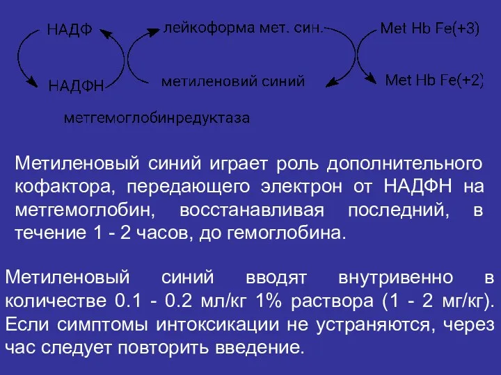 Метиленовый синий играет роль дополнительного кофактора, передающего электрон от НАДФН