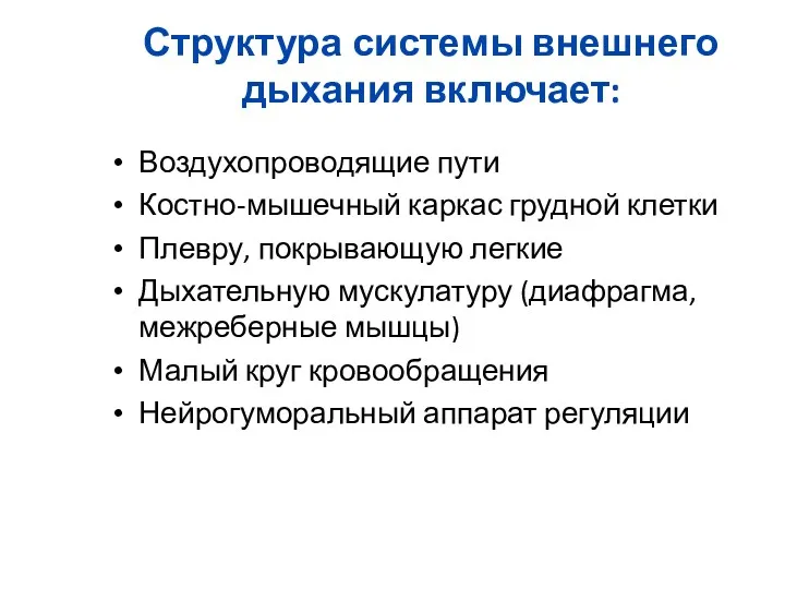 Структура системы внешнего дыхания включает: Воздухопроводящие пути Костно-мышечный каркас грудной