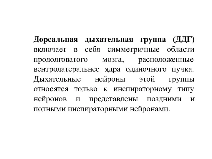 Дорсальная дыхательная группа (ДДГ) включает в себя симметричные области продолговатого