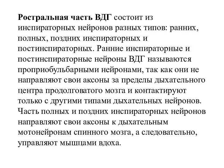 Ростральная часть ВДГ состоит из инспираторных нейронов разных типов: ранних,