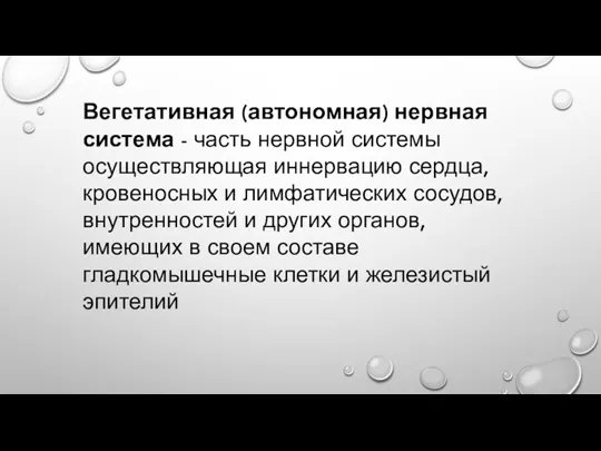 Вегетативная (автономная) нервная система - часть нервной системы осуществляющая иннервацию